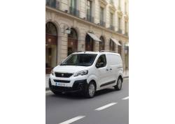 Snelheidsbegrenzer Peugeot Bipper 2016-