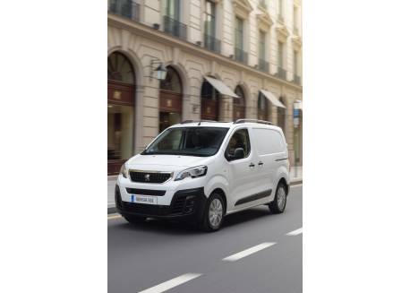 Snelheidsbegrenzer Peugeot Bipper 2016-