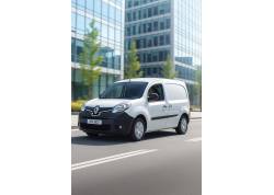 Snelheidsbegrenzer Renault Kangoo 2008 - 2020