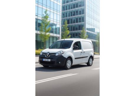 Snelheidsbegrenzer Renault Kangoo 2008 - 2020